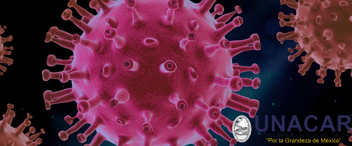 Los sistemas de información en apoyo a la continuidad académica y administrativa durante la pandemia por COVID-19