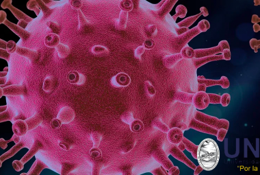 Los sistemas de información en apoyo a la continuidad académica y administrativa durante la pandemia por COVID-19